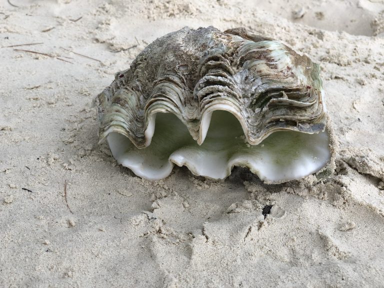 Dzień jak co dzień