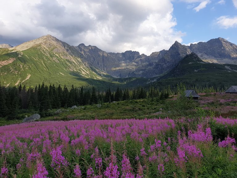 Z Cyrhli do Murowańca